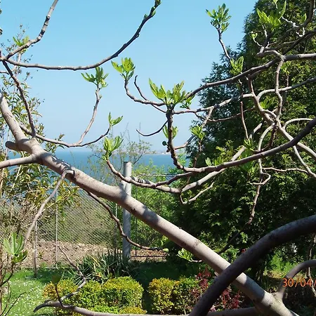Πάρκο διακοπών And Panorama Τσερνομόρετς