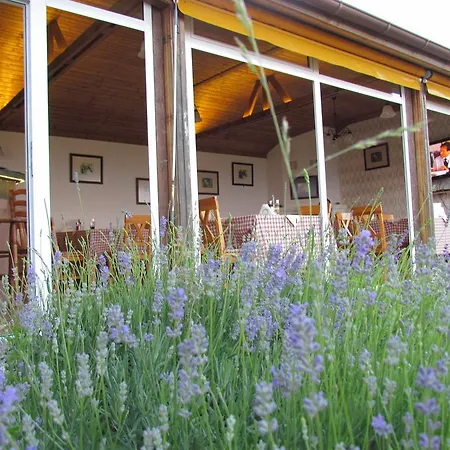 And Panorama 3* Chernomorets