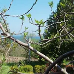Prázdninový areál And Panorama Černomorec