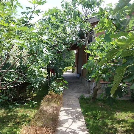 And Panorama 3*