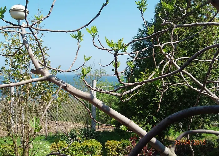 假日公园 And Panorama 切尔诺莫雷茨