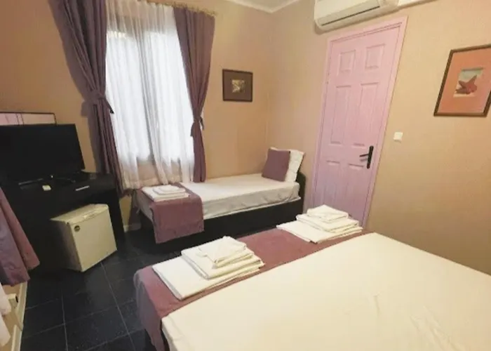 假日公园 And Panorama 3*