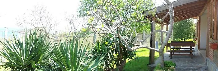 And Panorama 假日公园