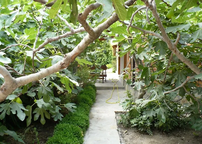 假日公园 And Panorama