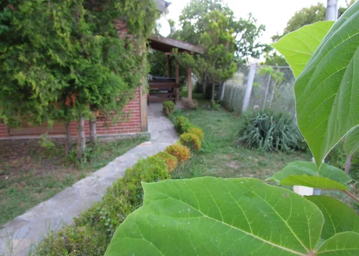 And Panorama 假日公园