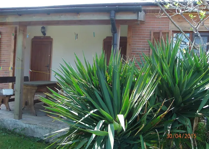 假日公园 And Panorama 切尔诺莫雷茨